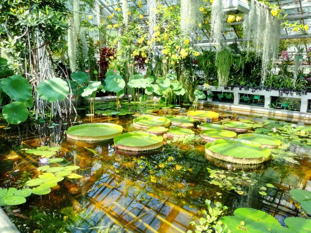 Ogród Botaniczny Uniwersytetu Jagiellońskiego